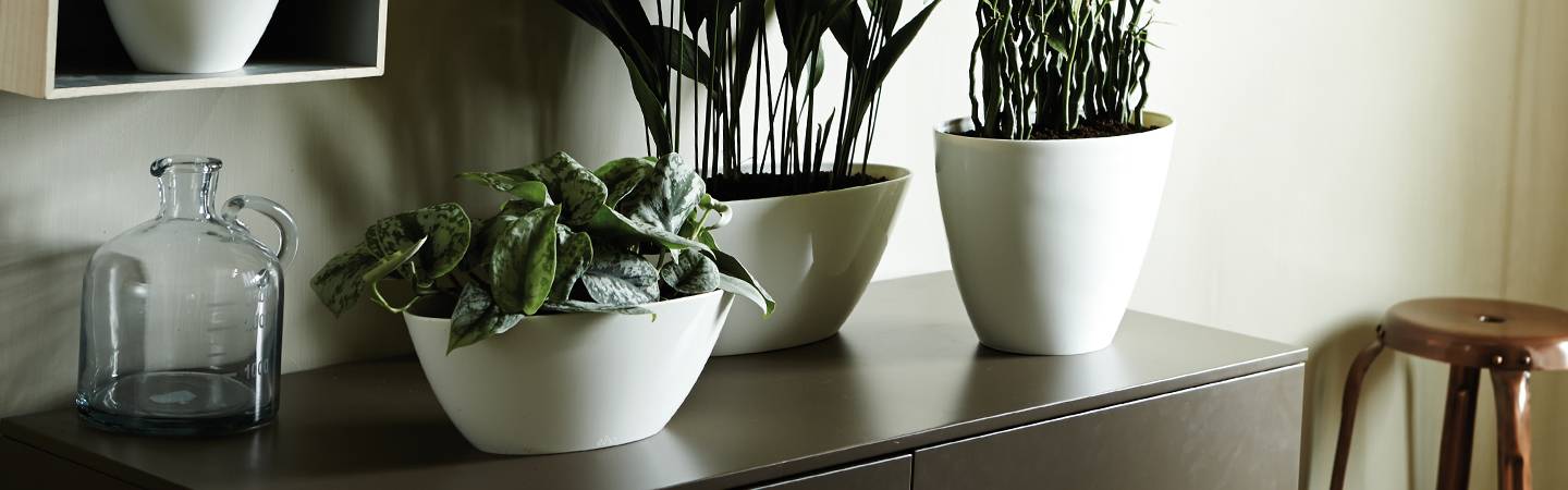 brussels diamond ovale 36cm gris perle